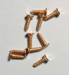 Screws (10 pcs)