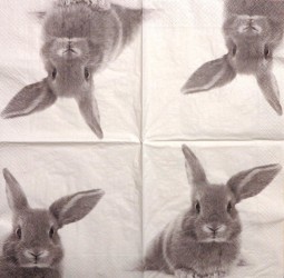 Napkin Rabbit