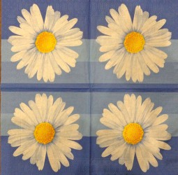 Napkin daisies