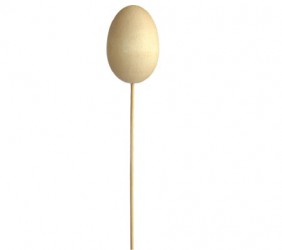 Egg