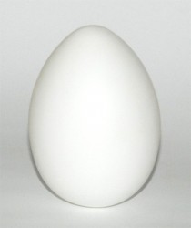 Egg plastic