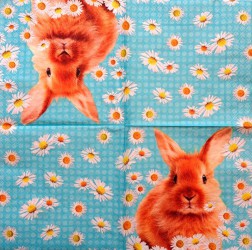 Napkin Rabbit