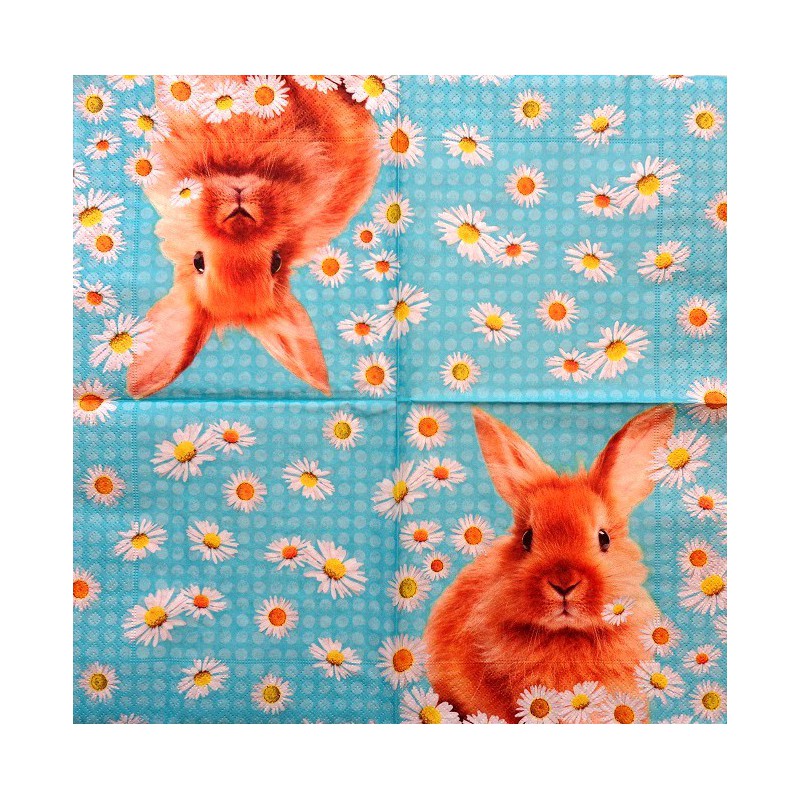 Napkin Rabbit