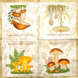 Napkin Mushrooms