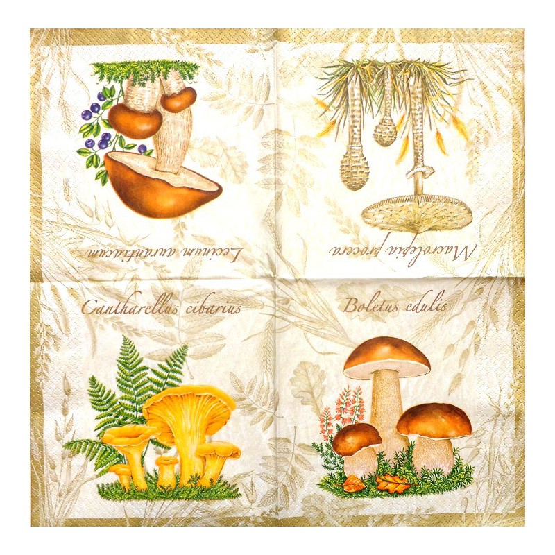 Napkin Mushrooms