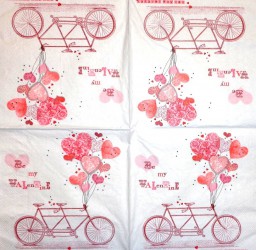 Napkin Bike