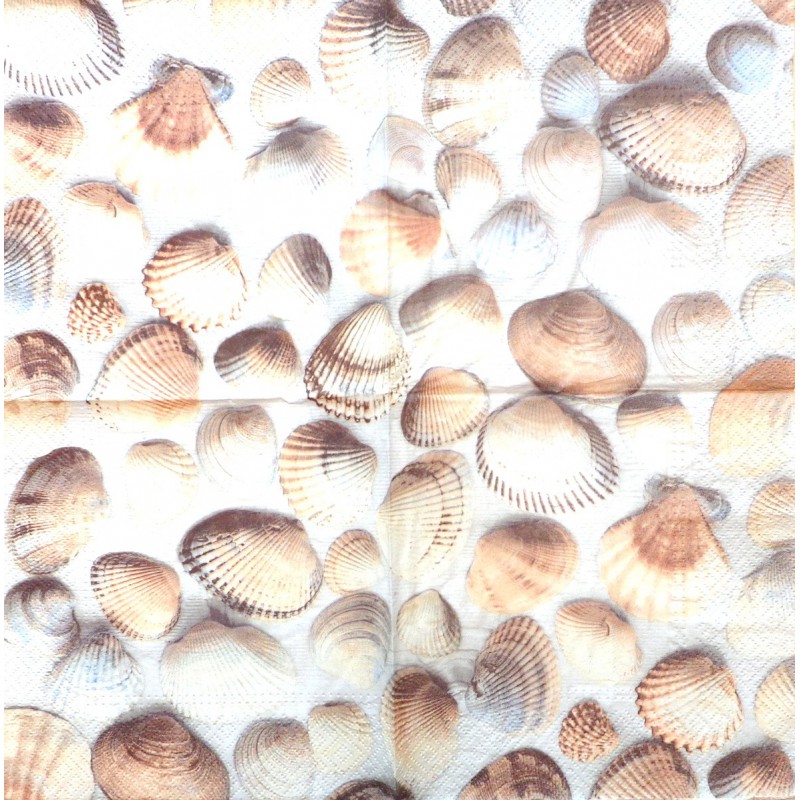 Napkin Shells