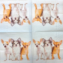 Napkin Dogs