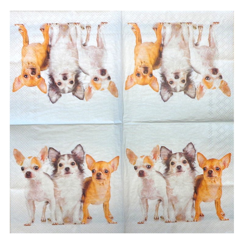 Napkin Dogs