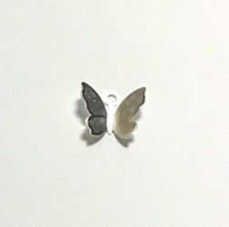 Butterfly Silver