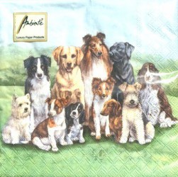 Napkins Pedigree dogs