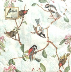 Napkins Birdsong