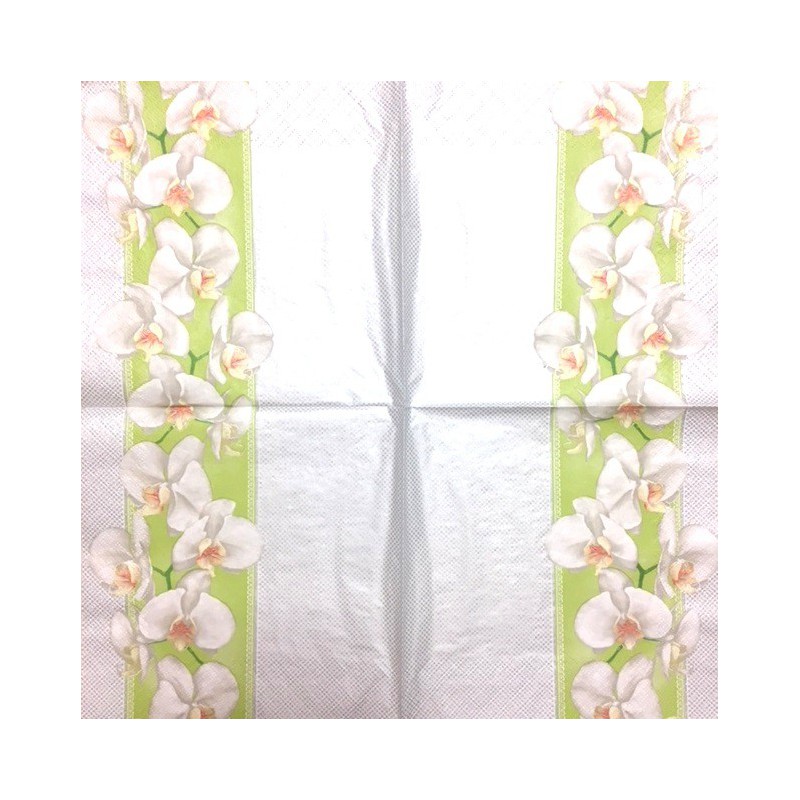 Napkin Orchids