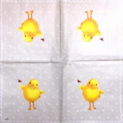 Napkin Chiken