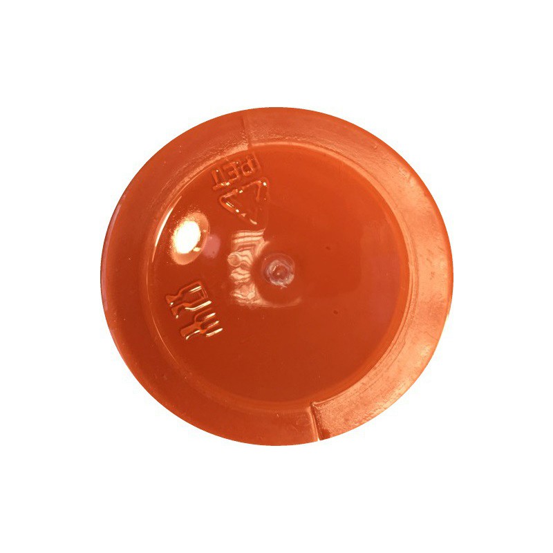 Mat paint Orange (120 ml)