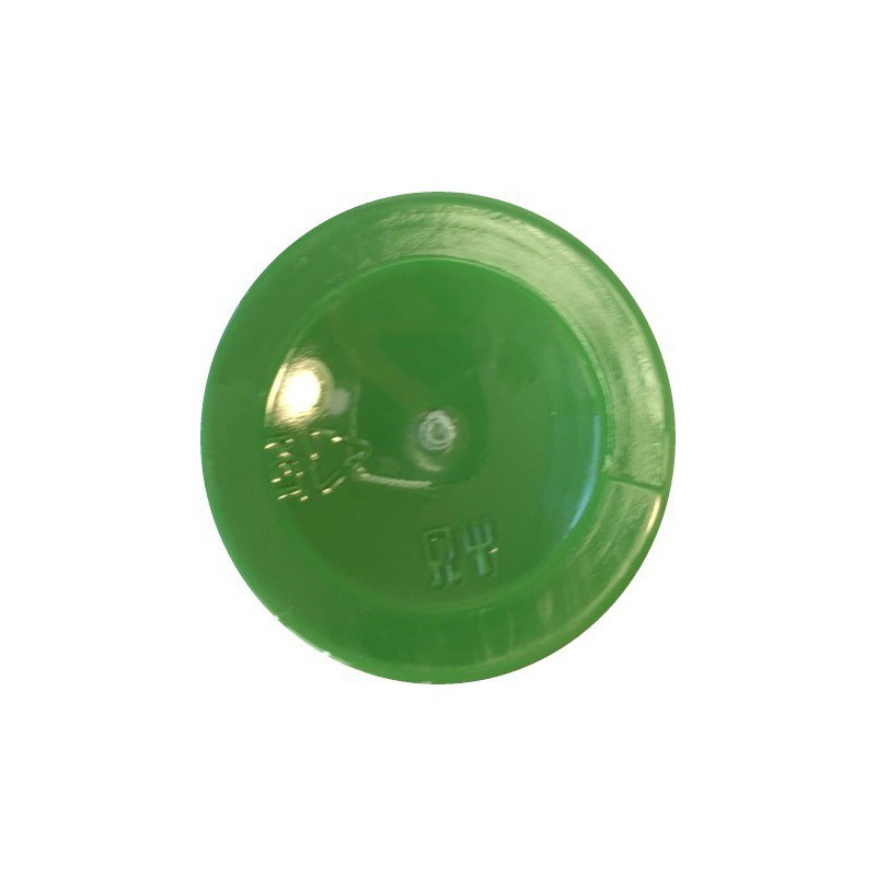 Matiniai dažai – pigmentai AKRILEN Šviesiai žalia (120 ml)