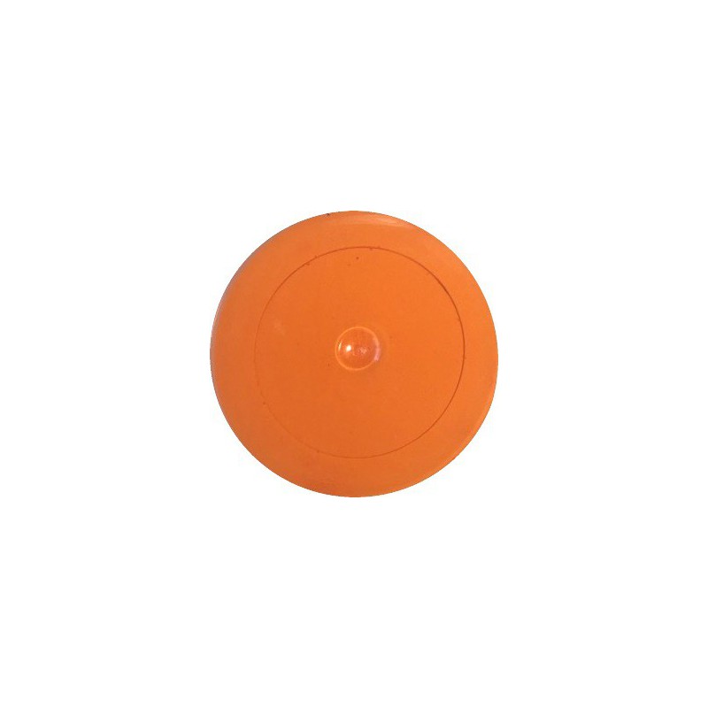 Matiniai dažai – pigmentai AKRILEN Šviesiai oranžinė (60 gr)