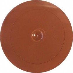 Mat paint Bright brown (60 gr)