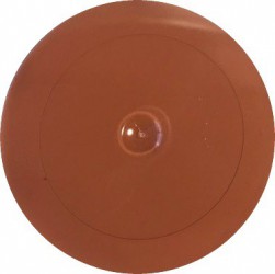 Matiniai dažai – pigmentai AKRILEN Šviesiai ruda (60 gr)