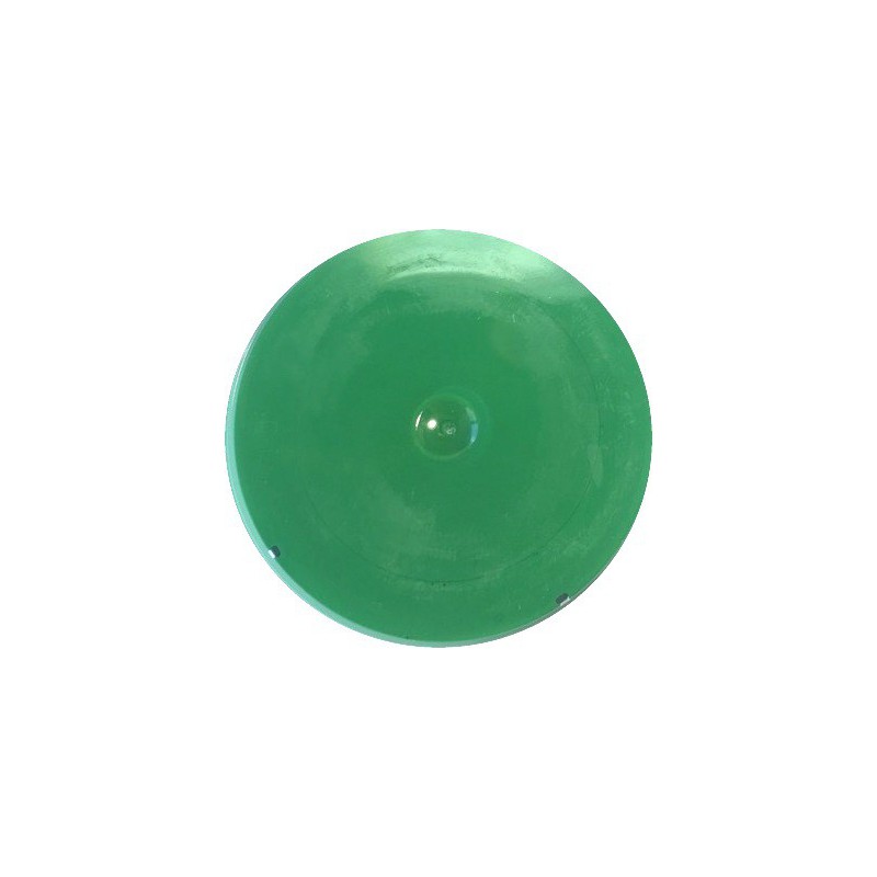 Mat paint Bright green (60 gr)