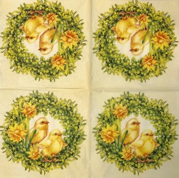 Napkin Chicken