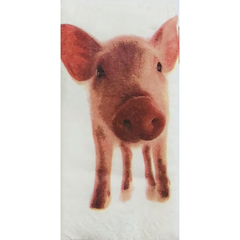 Handkerchief Pig