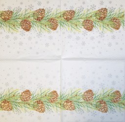 Napkin Cones