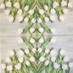 Napkin Tulips