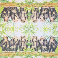 Servetėlė Beždžionės