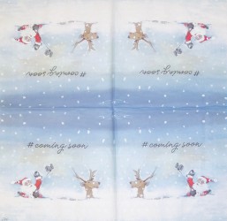 Napkin Santa
