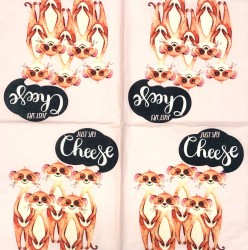 Napkin Cheese