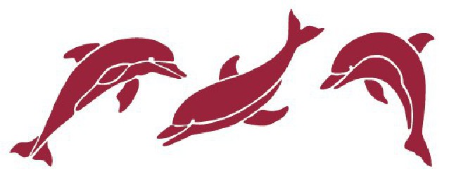 Stencil - dolphin