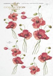 Rice paper Poppy