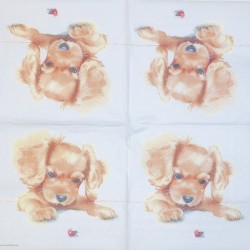 Napkin puppy