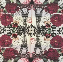 Napkin Paris