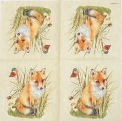 Napkin Fox
