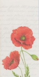 Handkerchief Poppy