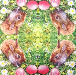 Napkin Rabbit