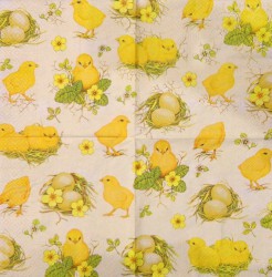 Napkin Chicks