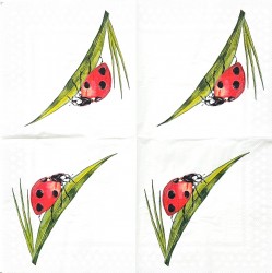 Paper Napkin Ladybug