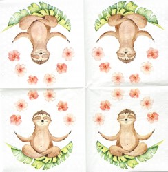 Paper Napkin Sluggard